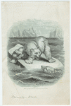 Image ID 822034
