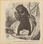 Image ID 822036