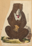 Image ID 822037