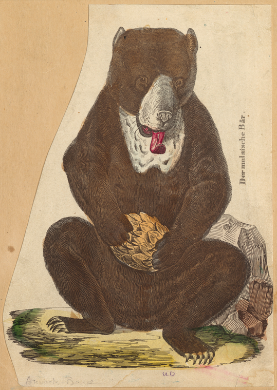 Image ID 822037
