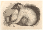 Image ID 822042