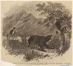 Image ID 822047