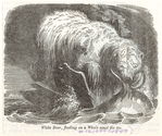 Image ID 822048