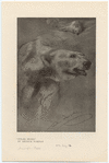 Image ID 822065