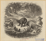Image ID 822076