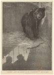 Image ID 822079