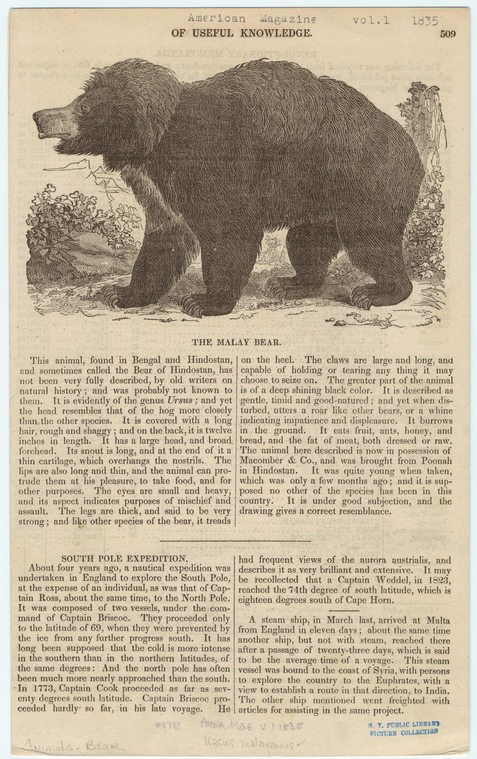 Image ID 822081
