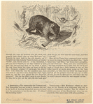 Image ID 822086