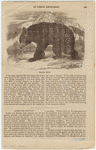 Image ID 822088