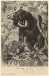 Image ID 822092