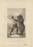 Image ID 822094