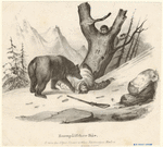 Image ID 822101