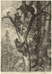 Image ID 822102