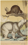 Image ID 822103