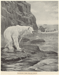Image ID 822105