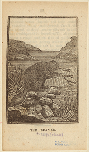 Image ID 822109