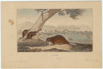 Image ID 822110