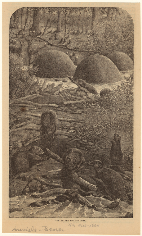 Image ID 822112
