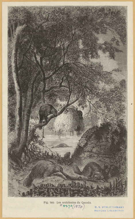 Image ID 822113
