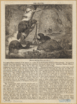 Image ID 822115