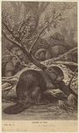 Image ID 822116