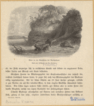 Image ID 822117