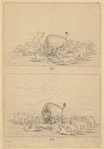 Image ID 822125