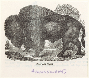 Image ID 822135