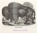 Image ID 822135
