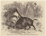 Image ID 822139