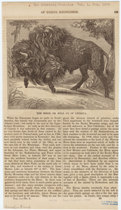 Image ID 822140