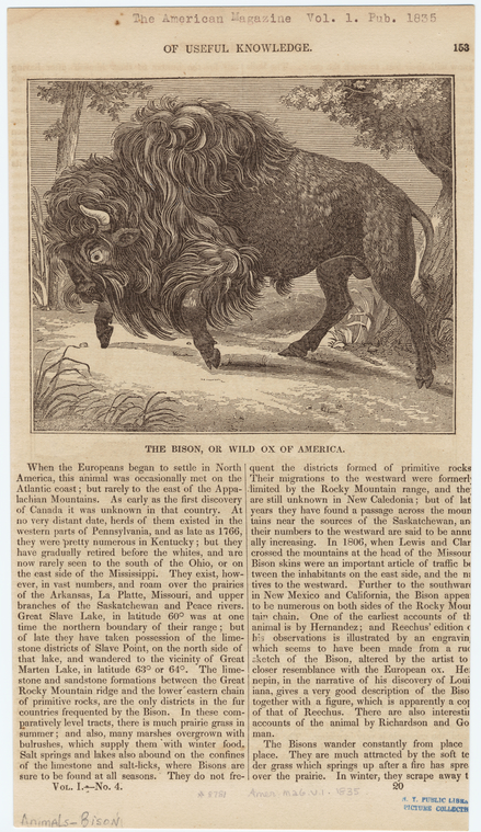 Image ID 822140
