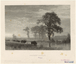 Image ID 822141