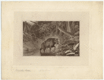 Image ID 822155