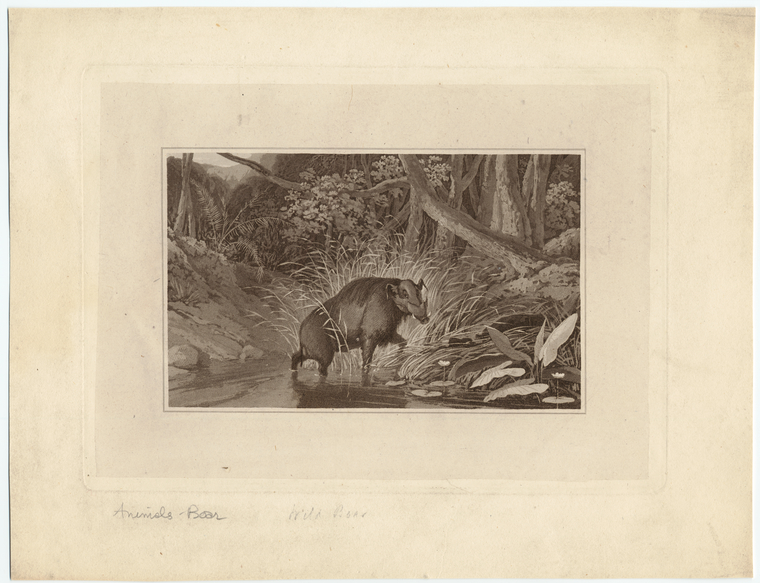 Image ID 822155

