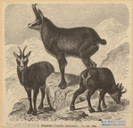Image ID 822169
