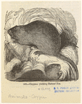 Image ID 822171