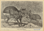 Image ID 822175