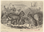 Image ID 822177