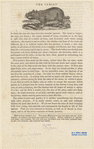 Image ID 822180