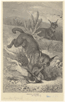 Image ID 822182