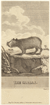 Image ID 822188