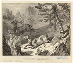 Image ID 822191