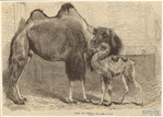Image ID 822198