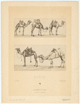 Image ID 822206