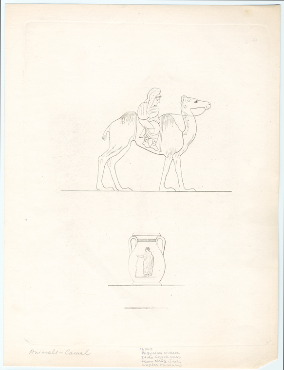 Image ID 822207

