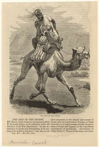 Image ID 822218