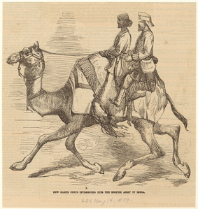 Image ID 822225