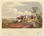 Image ID 822234