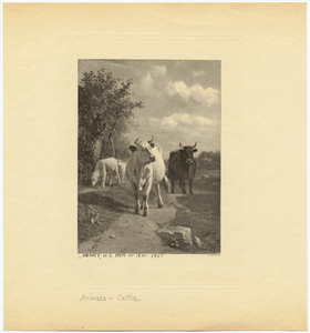 Image ID 822235